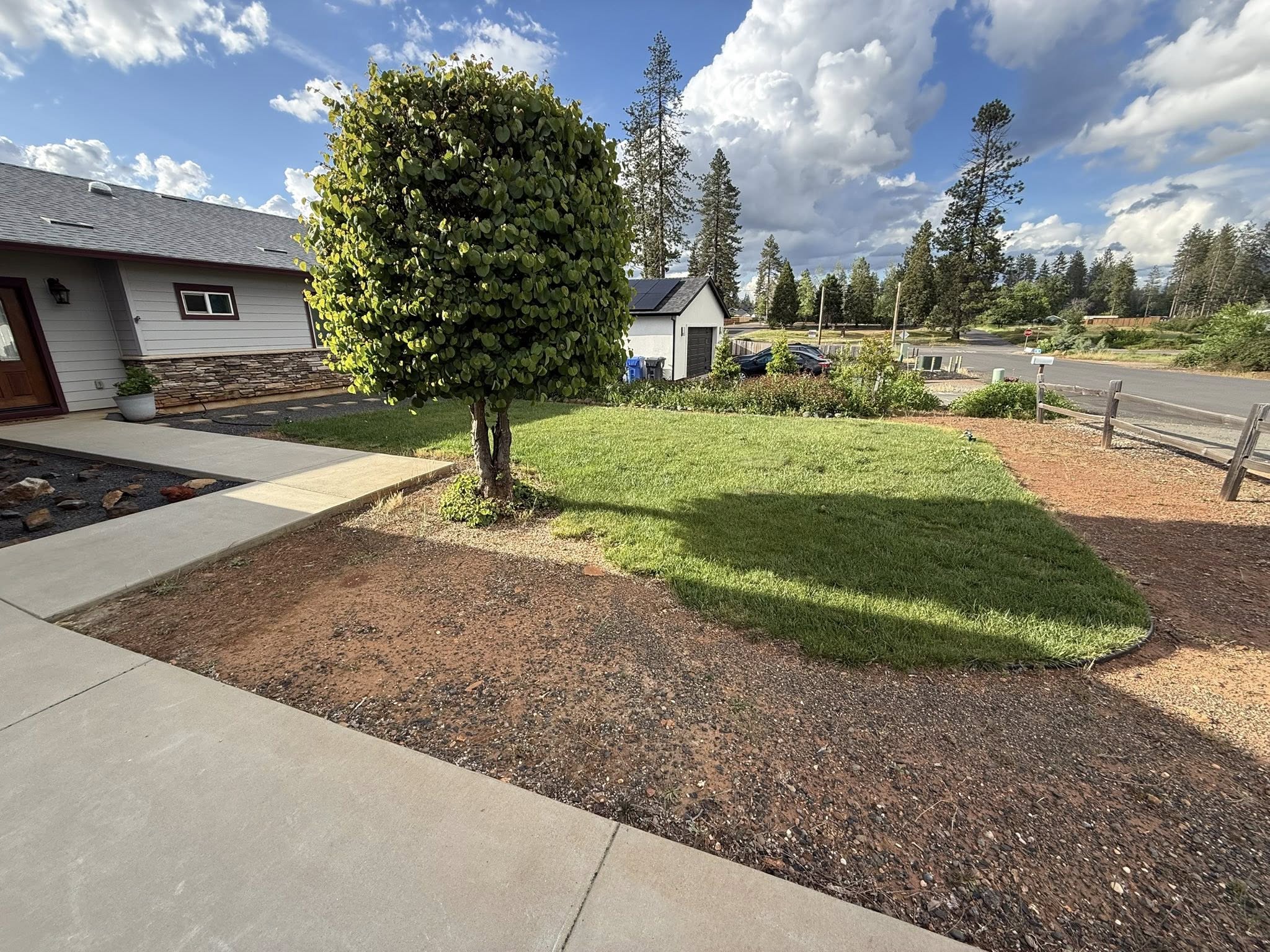 Premium Sod & Turf by Diamond Landscaping